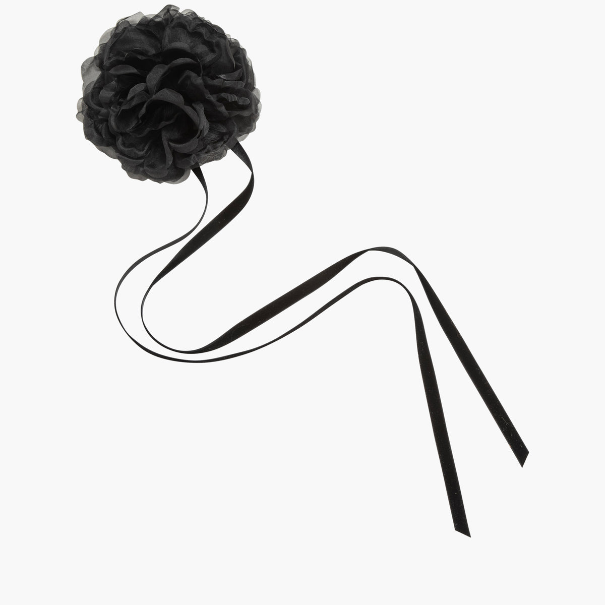 24PD2-black-web-1.jpg?crop= 